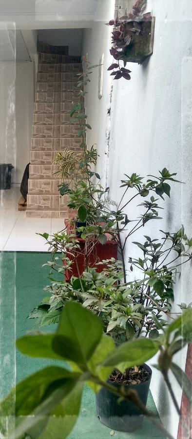 Apartamento Casa dos Avós Ubatuba Exterior foto